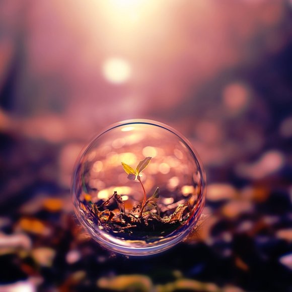 Meet your Posher, Noelia - Picture 1 of 1